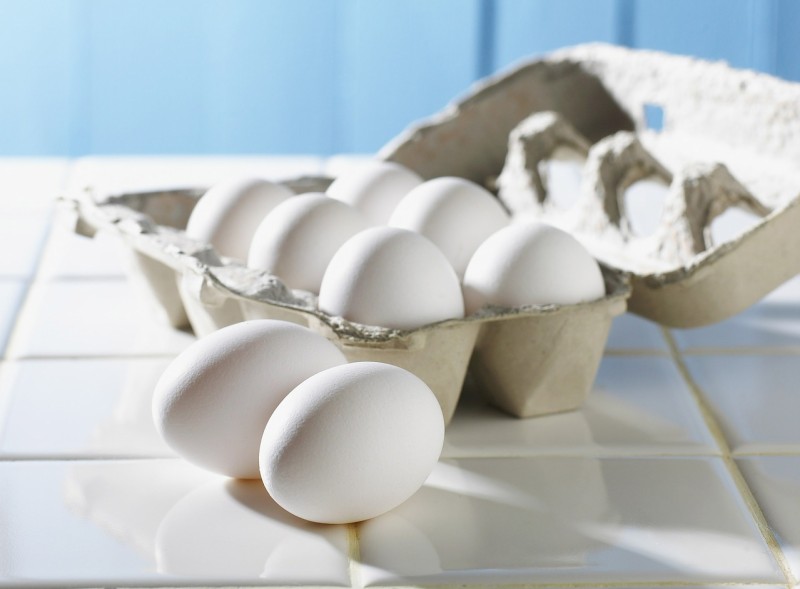 eiweißreiche lebensmittel eiweißzufuhr eiweiß eiweißreiche lebensmittelgesunde ernährung abnehmen ernährungsberatung basische ernährung eier